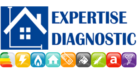 LOGO EXPERTISE 2